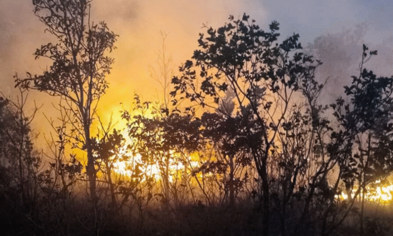 Focos de incêndio em Goiás passam de 500 no fim de semana