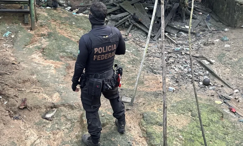 Crime eleitoral no Pará: PF apura ameaça a candidata