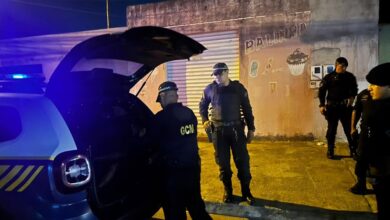 Resgate de cachorro abandonado leva à prisão de suspeito