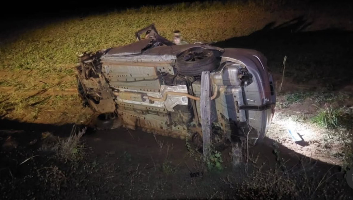 Acidente com capivara na GO-305 deixa motorista morto - Imagem do artigo original