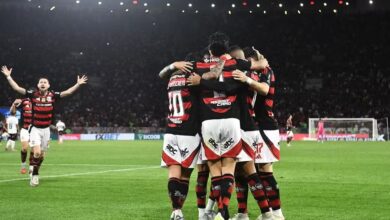 Atropelo Histórico: Flamengo goleia o vitória por 8 a 0 e consolida a liderança no Brasileirão
