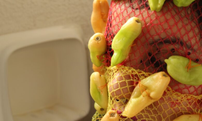 Arte de Performance e Gênero acontece na segunda no Setor Jaó