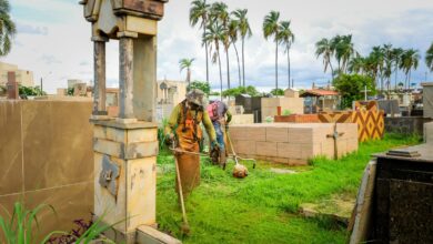 Violação de túmulos em Trindade gera investigação policial