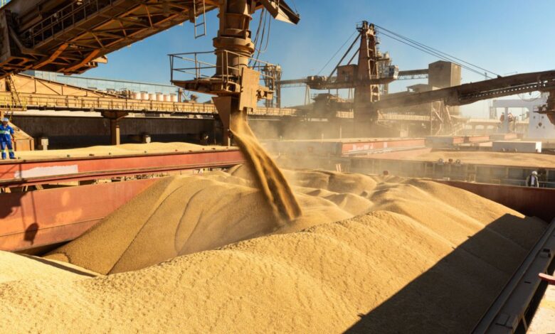 EUA iniciam colheita da soja sem vendas para China