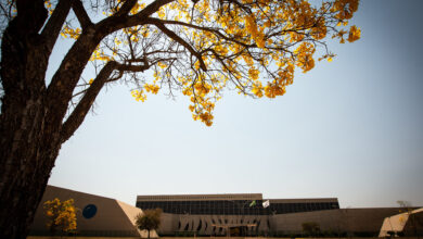 MPGO recorre, e STJ confirma 18 anos de prisão para mulher acusada de matar filha recém-nascida