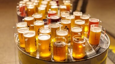 Festival de cervejas artesanais em Goiânia dias 12 e 13