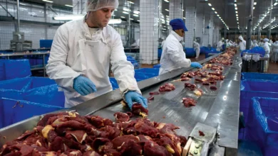 Novos valores de referência para ICMS de carnes em Goiás entram em vigor