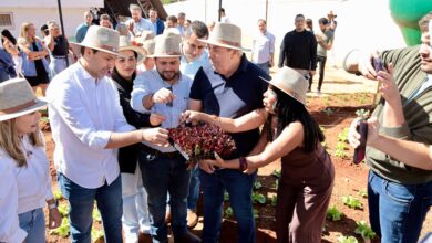 Projeto Agricultura Urbana cria hortas em Aparecida