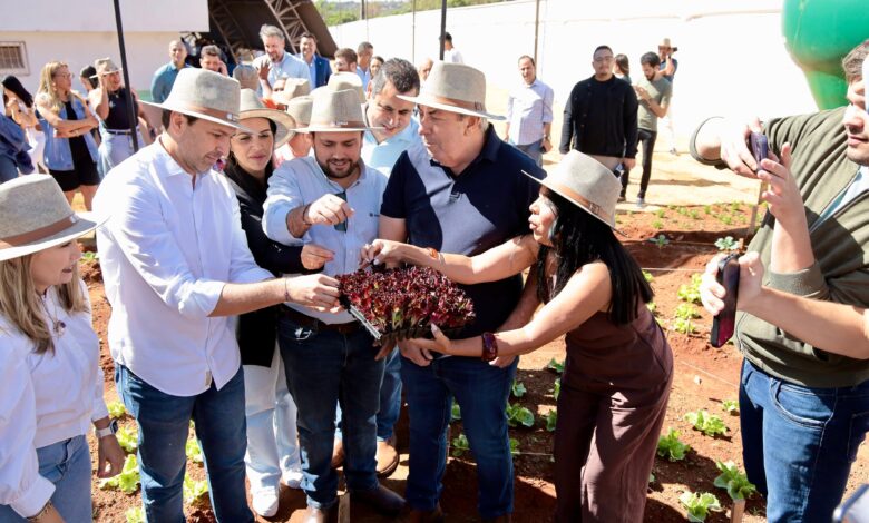 Projeto Agricultura Urbana cria hortas em Aparecida