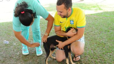 Vacinação antirrábica em Aparecida mobiliza Dia D sábado
