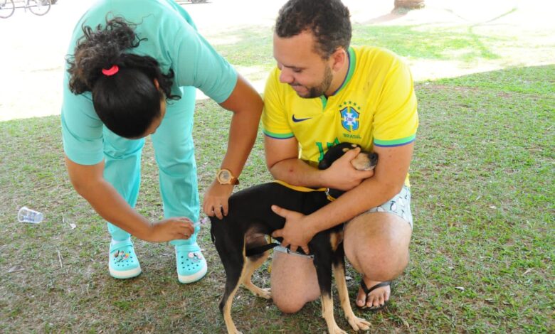 Vacinação antirrábica em Aparecida mobiliza Dia D sábado
