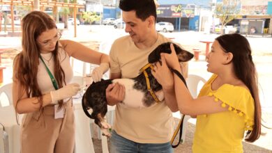 Vacinação antirrábica em Aparecida mobiliza 94 postos