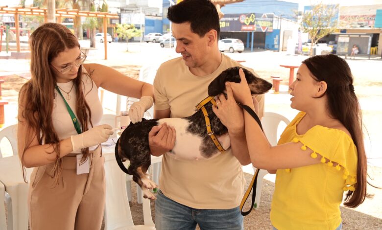 Vacinação antirrábica em Aparecida mobiliza 94 postos
