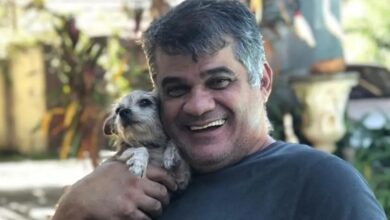 Ataque de abelhas em Goiânia mata servidor público