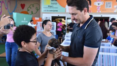 Feira de adoção em Aparecida encontra lares para 43 pets