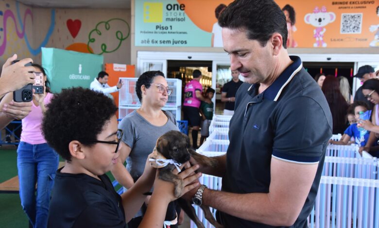 Feira de adoção em Aparecida encontra lares para 43 pets