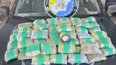 Helicóptero da PM intercepta carro com 80 porções de maconha