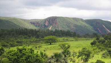 Parque Estadual de Caldas Novas terá terceirização bilionária