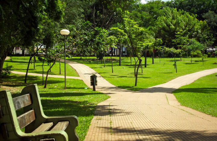 Goiânia Cidade Árvore do Mundo: selo internacional ambiental