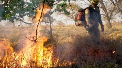 Goiás em alerta: calor extremo e baixa umidade aumentam risco de queimadas
