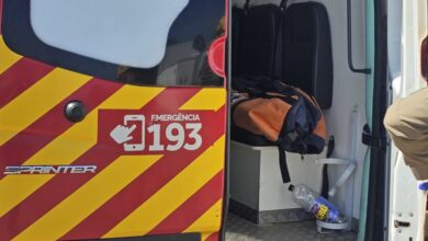 Mulher ferida por tronco de eucalipto na GO-210