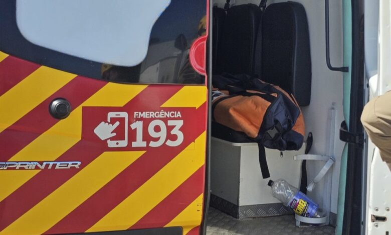 Mulher ferida por tronco de eucalipto na GO-210