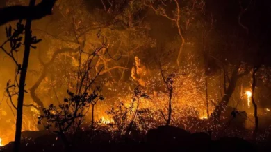 Incêndio na Chapada dos Veadeiros devasta 3,3 mil ha
