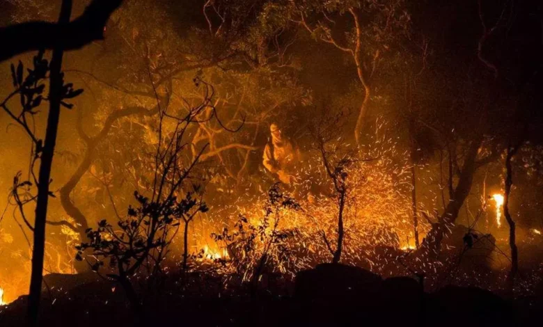 Incêndio na Chapada dos Veadeiros devasta 3,3 mil ha