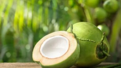 Vendedores de água de coco do Vaca Brava inseguros