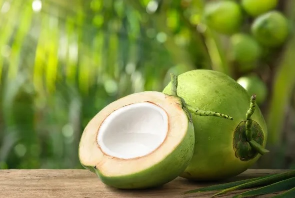 Vendedores de água de coco do Vaca Brava inseguros