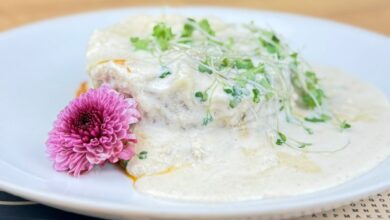 Últimos dias da Semana Italiana em Goiânia