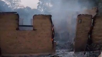 Incêndio na Chapada dos Veadeiros destrói casa de moradora