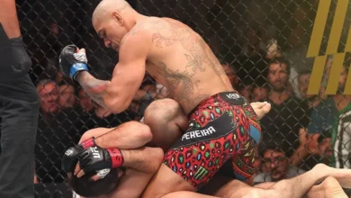 Nocaute de Alex Poatan garante cinturão dos meio-pesados