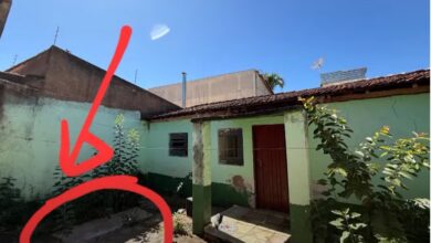 Ossada humana é encontrada perto de delegacia em Goiânia