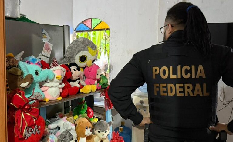 Operação da PF contra abuso sexual infantil em 16 estados