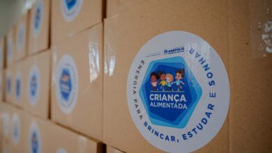 Programa Criança Alimentada distribui 171 cestas em Anápolis