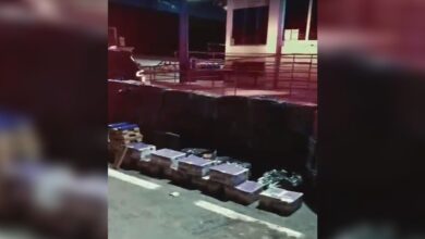 PRF apreende quase 2 toneladas de maconha em Hidrolândia