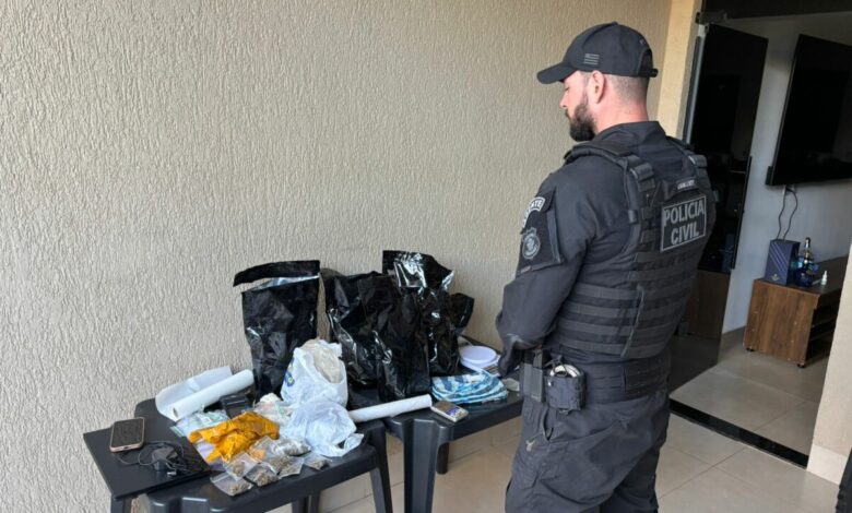 Operação Mímesis desmantela fraude de leilões falsos