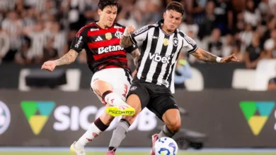 Flamengo 3 a 0 Botafogo e mantém Palmeiras na mira