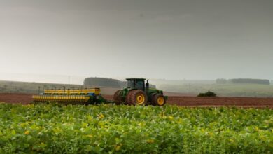 Superávit comercial de Goiás atinge US$ 700,5 mi em setembro