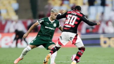 Flamengo e Palmeiras têm mais de 20 desfalques sábado