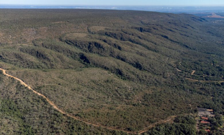 Crédito de carbono: Goiás se habilita para captar na COP30