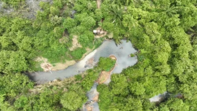 Saneago nega falhas e diz cumprir lei no Córrego Sussuapara