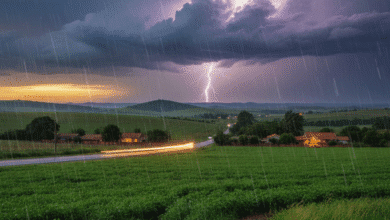 Corredores de umidade devem atuar com força sobre o estado goiano