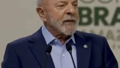 Fundo Florestas Tropicais recebe US$ 5 bi de apoio