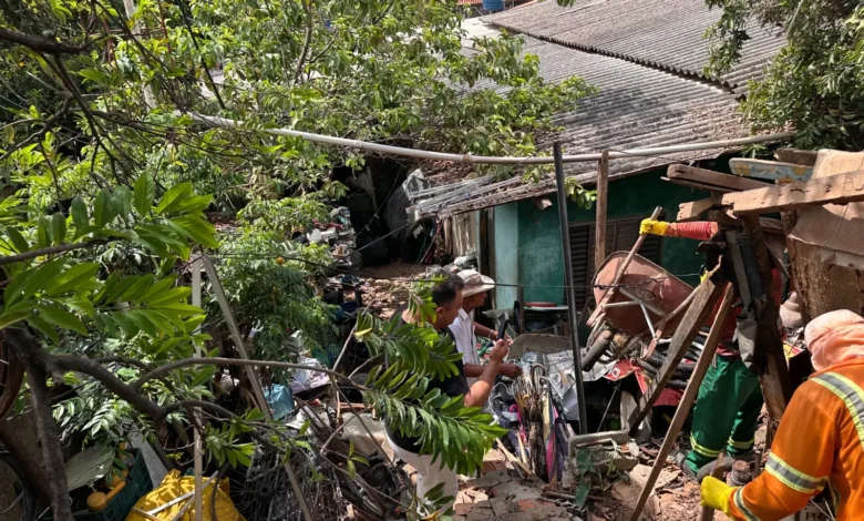 Limpeza compulsória remove 12 t de entulho em Goiânia