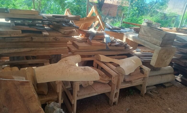 Polícia Civil flagra corte ilegal de angico e interdita serraria em Niquelândia