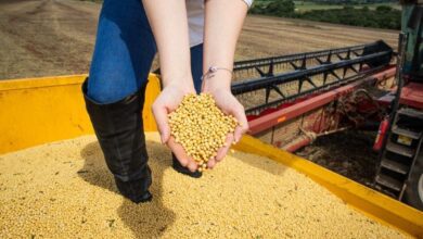 Economia goiana mais que triplica desde 2010 e mostra solidez