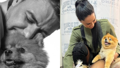 Zezé Di Camargo lamenta morte de cachorrinha de 16 anos