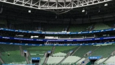 Palmeiras troca gramado sintético do Allianz por 3 meses